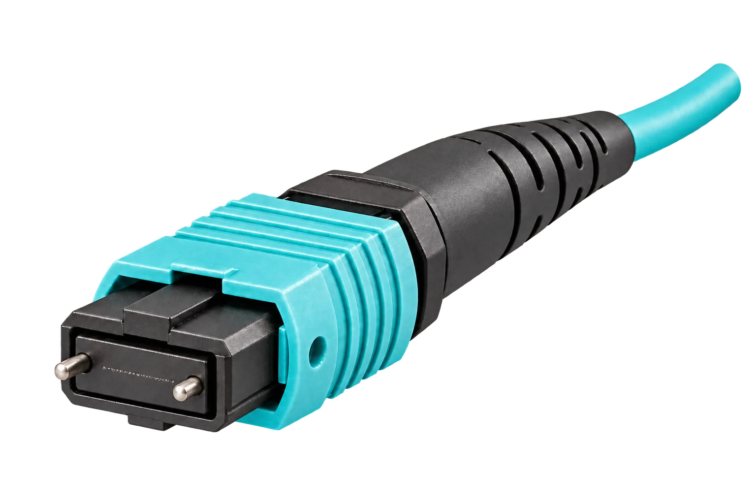 MTP · base-12, male